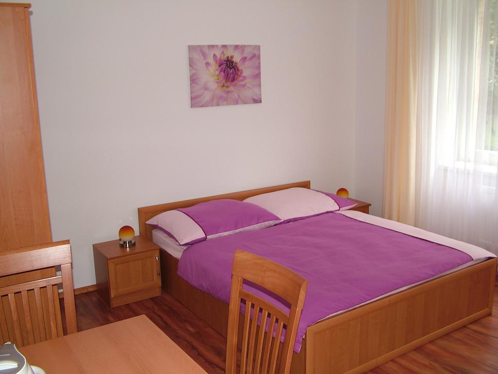 Penzion Rafael Podebrady Room photo